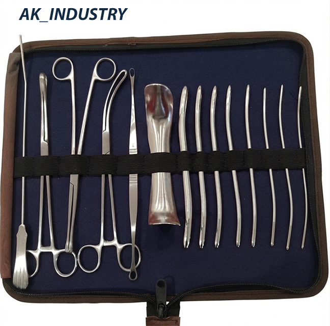 Advanced ENT and Sounding Instrument Set