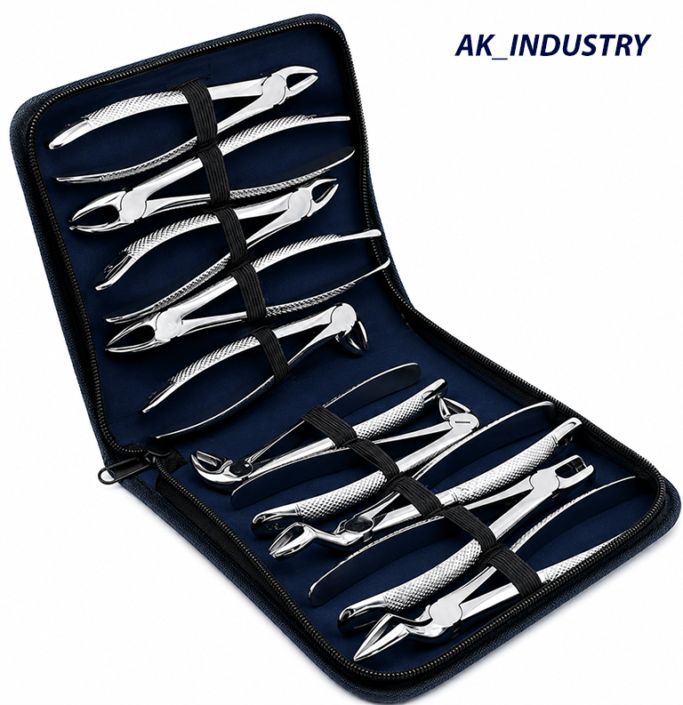 10-Pcs Surgical Dental Extracting Forceps Instrument Kit for Adults